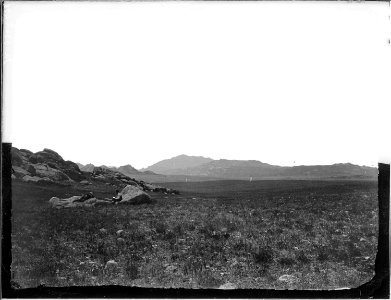 Laramie Peak, view from a distance. Albany County, Wyoming - NARA - 516857