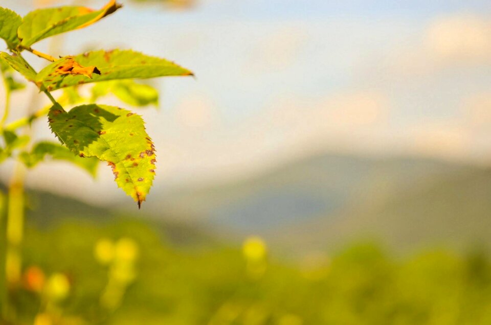Landscape nature top view