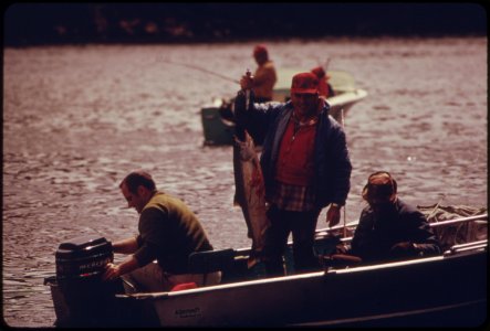 Landing-a-chinook-salmon-on-the-willamette-river-near-oregon-city-041973 4272391876 o photo