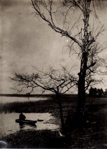 Landschaft (BildID 15708622)
