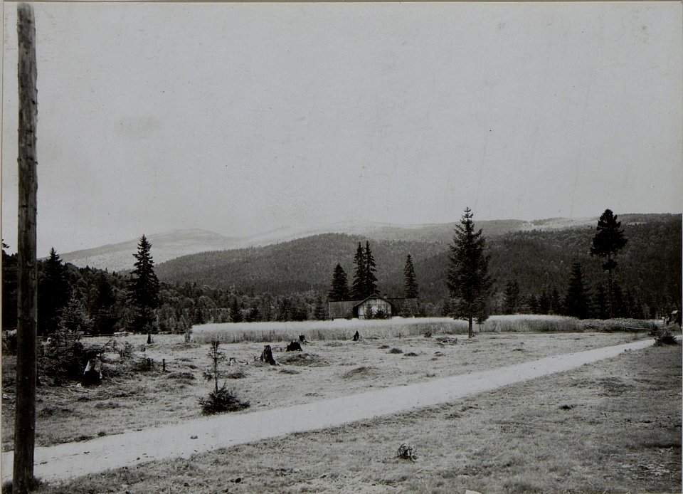 Landschaften im Raume Osmalodo Ost Galizien 1916 (BildID 15452890)