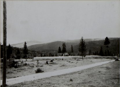 Landschaften im Raume Osmalodo Ost Galizien 1916 (BildID 15452890)