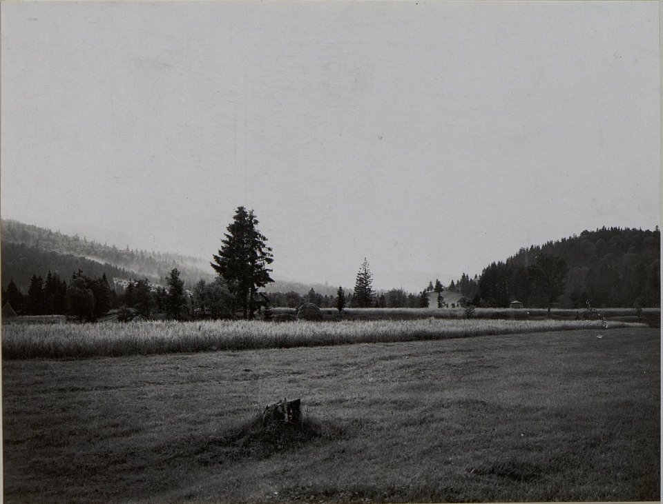 Landschaften im Raume Osmalodo Ost Galizien 1916 (BildID 15452920)