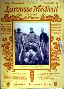 Larousse médical 102045