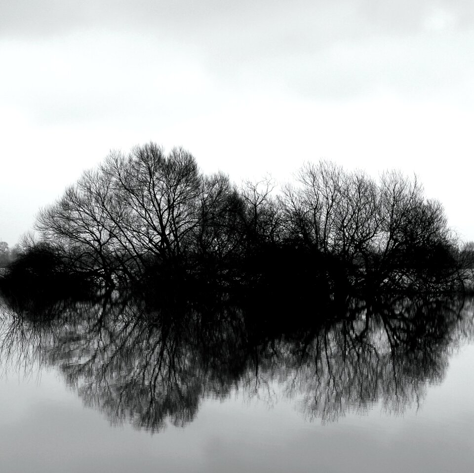 Reflection weser water