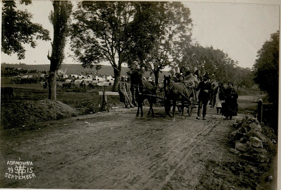 Landstrasse bei Adamowka. (BildID 15517879)