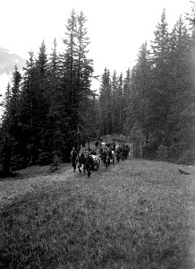 Landwehr Mitrailleureailleur Kompanie - CH-BAR - 3241308