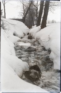Lasnamäe paekallas. Kärestikuline oja, AM N06068