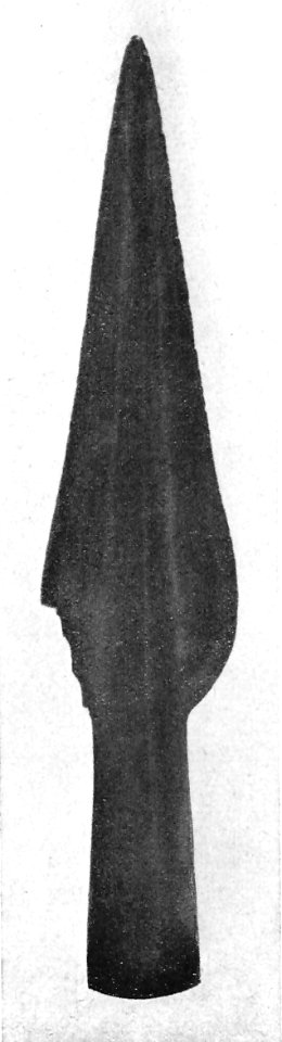 Lanzenspitze aus Neuhaldensleben (23 cm hoch)