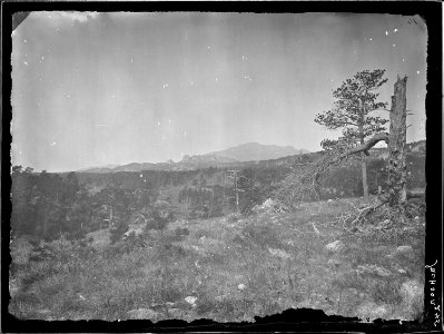 Laramie Peak from near the head of the Big Cottonwood, Albany County, Wyoming. - NARA - 516854