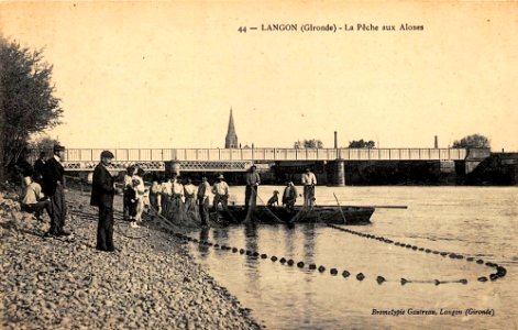 Langon - pêche aux aloses 1