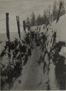 Laufgräben geg.die Schwarmlinie.Lastastellung. (BildID 15459667)