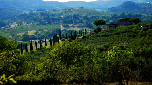Landscape tuscany nature