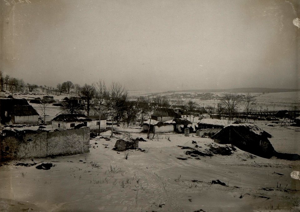 Lapszyn. (BildID 15529955)