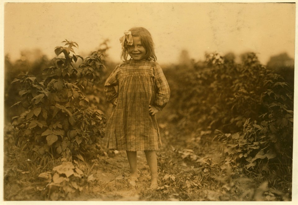 Laura Petty, a 6 year old berry picker on Jenkins farm, Rock Creek near Baltimore, Md. 'I'm just beginnin'. Picked two boxes yesterday. (2 cents a box). (See my report July 10, 1909.) July LOC cph.3a01106