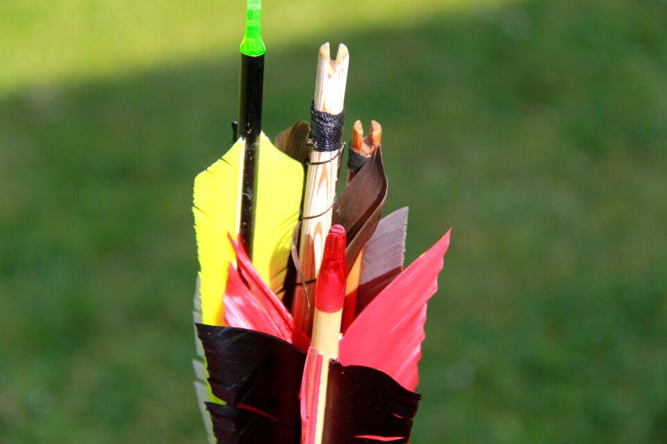 Sport without fail bull's eye