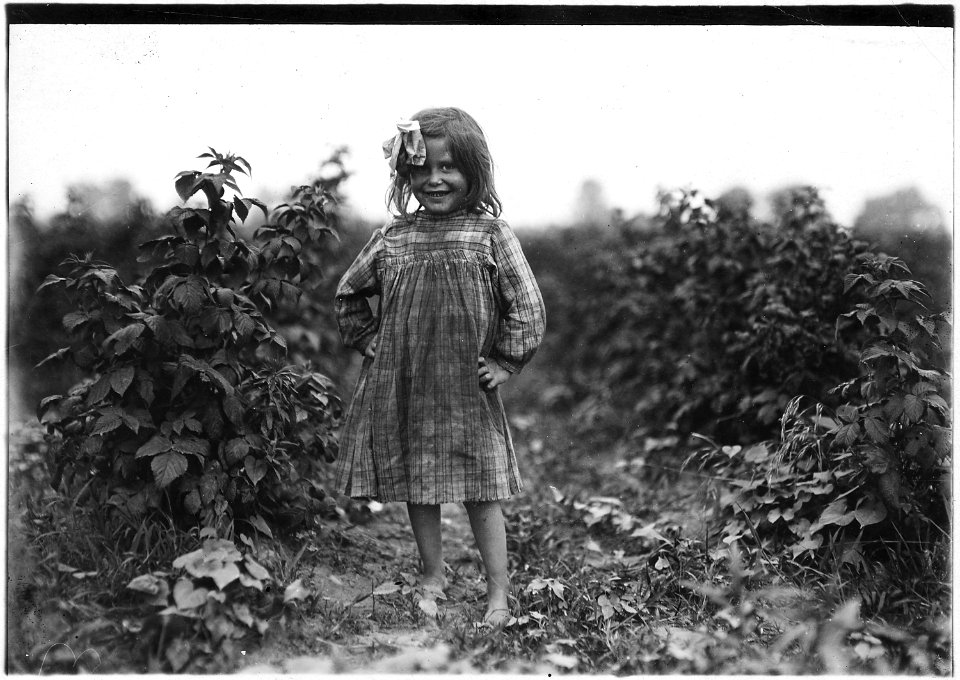 Laura Petty, a 6 year old berry picker on Jenkins Farm. I'm just beginnin'. Licked two boxes yesterday. Gets 2... - NARA - 523206