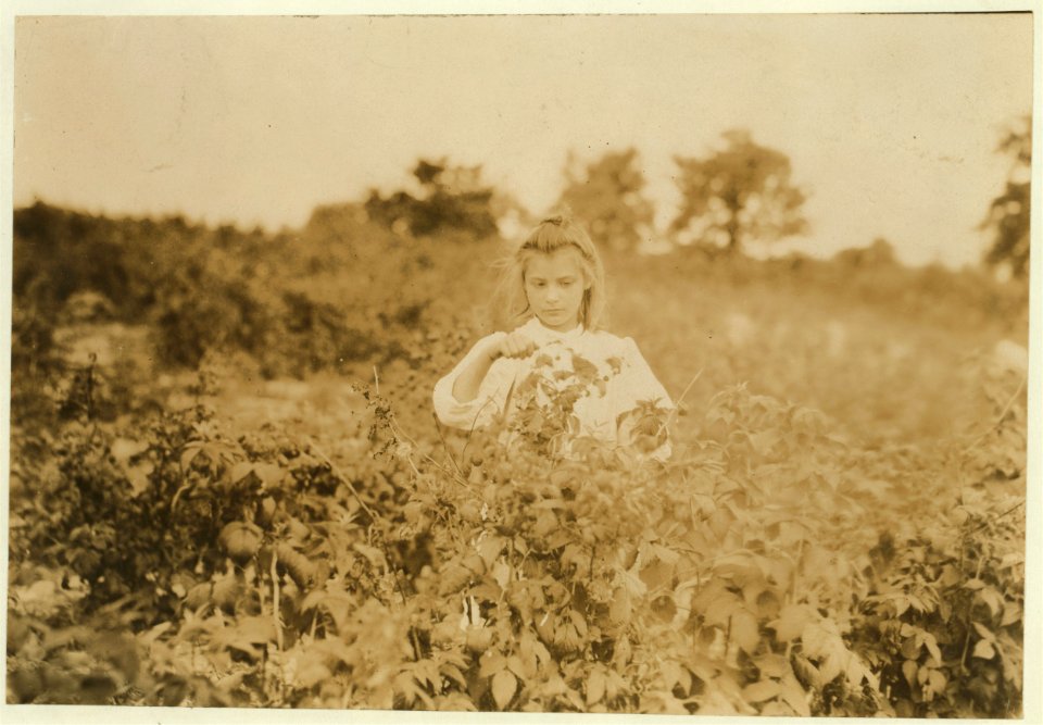 Laura, a nine-year-old berry picker on Rock Creek, near Baltimore, Md. Been working in the South two winters. (See my report July 10, 1909.) LOC nclc.00018