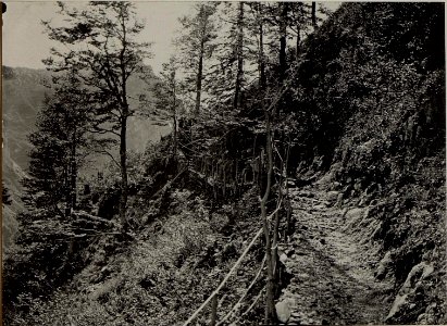 Latträger am VRSIC. Aufgen. am 30.VI.1916. (BildID 15478822)