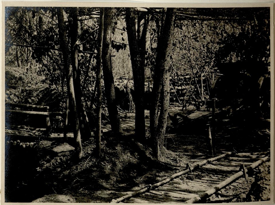 Laufgraben einer Batterie im Taslanwald (BildID 15545252)