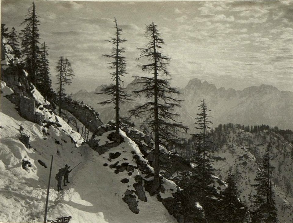 Laufgräben nördlich von den Hirschköpfen. Hintergrund der Rosskofl. (BildID 15468872)