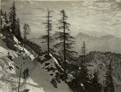 Laufgräben nördlich von den Hirschköpfen. Hintergrund der Rosskofl. (BildID 15468872)
