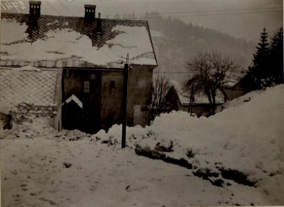 Lawine in Tarvis.Lawinengang oberhalb des Hotel Mörtl. (BildID 15483658)