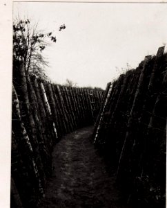 Laufgraben L zur Stellung des Schützenregiments 18. (BildID 15703631)