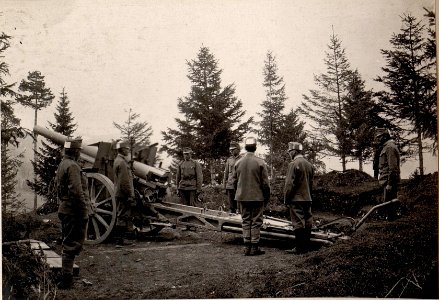 Lavaroneplateau. 10,4 cm Langrohrkanone (BildID 15637201)