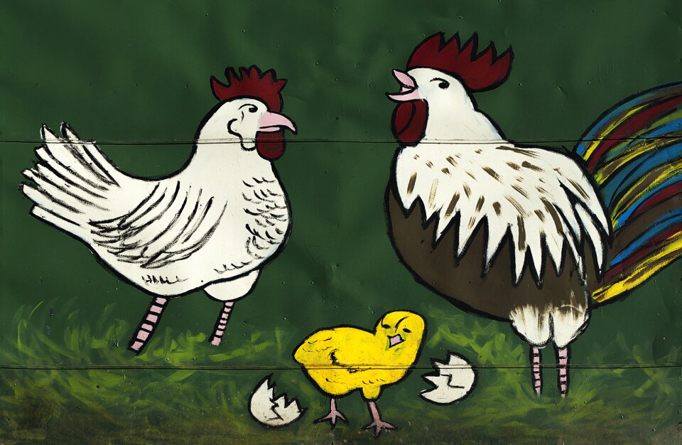 Painting advertising chicken run