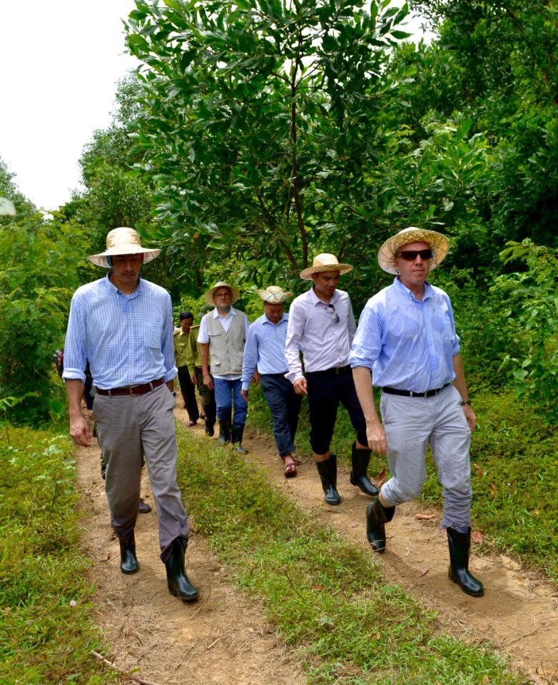 Launching of Elephant Protection Area in Quang Nam Province (36265871323)