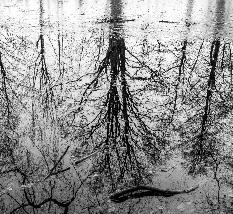 Lake reflection landscape photo