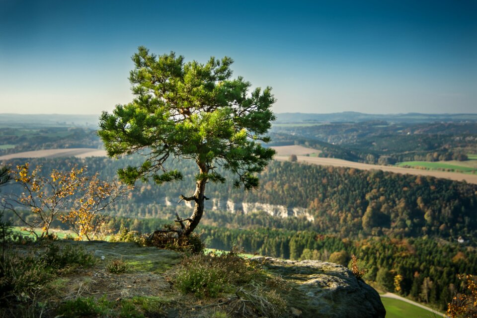 Rock elbe sandstone mountains sand stone
