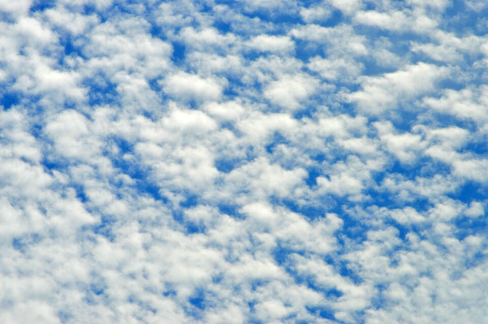 Clouds of borrego clouds sheep cotton clouds