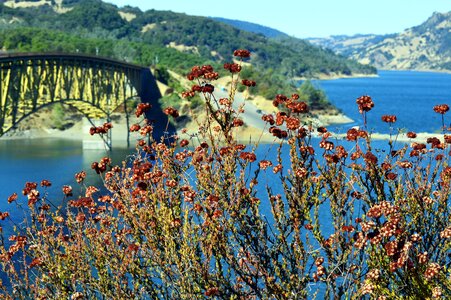 Lake sonoma sonoma lake california