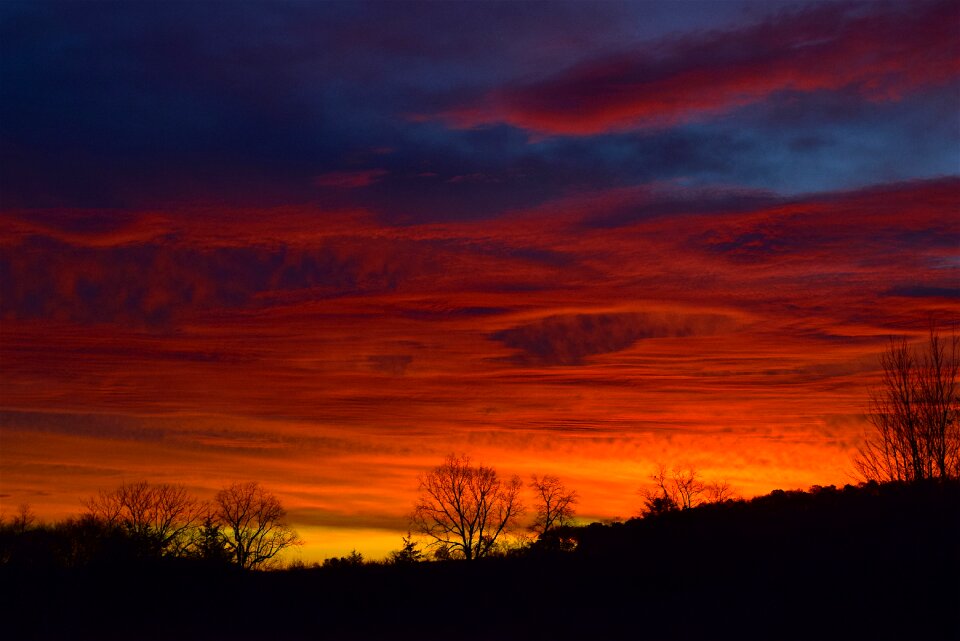 Trees clouds dawn