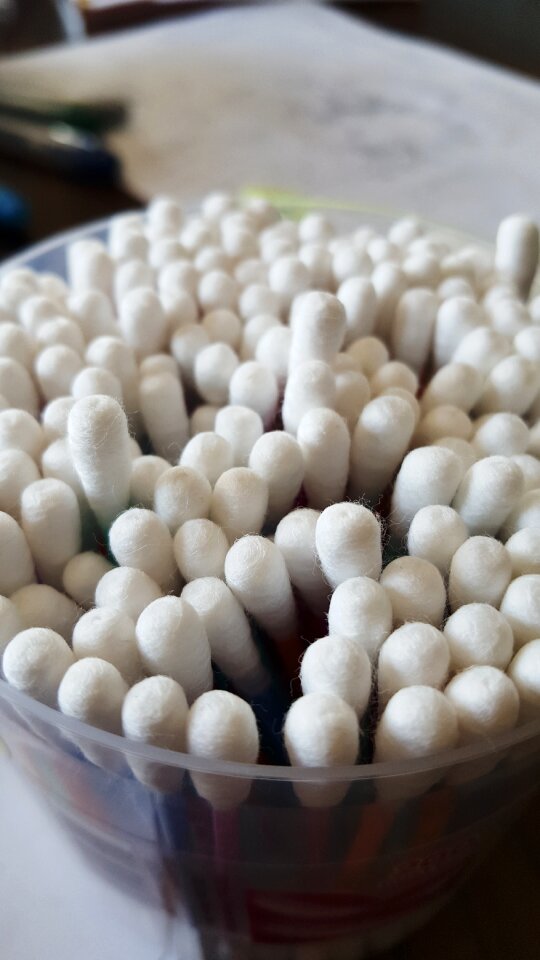 White bud ear bud ear