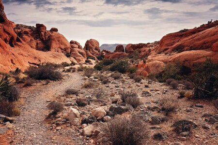Desert nature rock