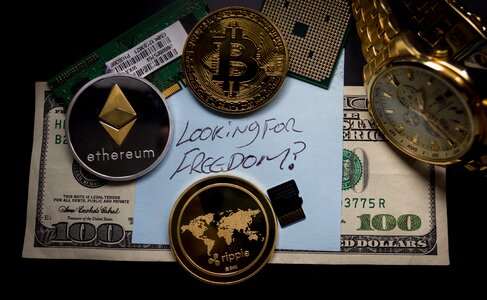 Dollar money wealth