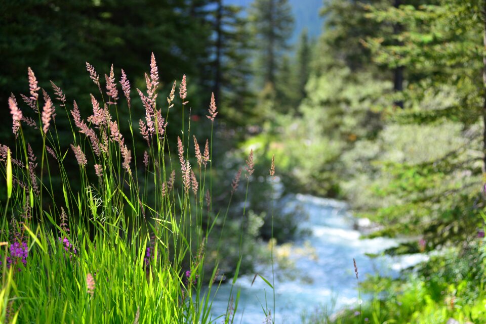 Landscape travel nature