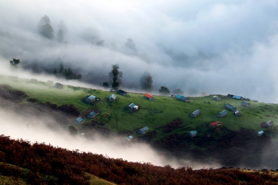 Green grass houses