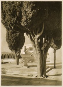 Le cour de la Cathédrale à Tinos - Baud-bovy Daniel Boissonnas Frédéric - 1919 photo