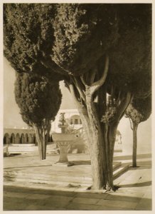 Le cour de la Cathédrale à Tinos - Baud-bovy Daniel Boissonnas Frédéric - 1919