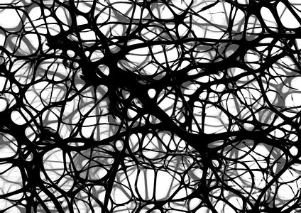 Brain network wattle photo