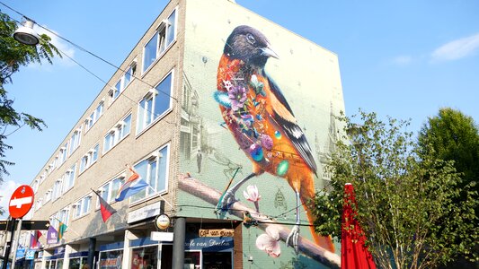 Nijmegen wall painting bird