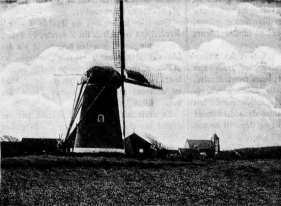 Le moulin hollandais est un monument quasi national