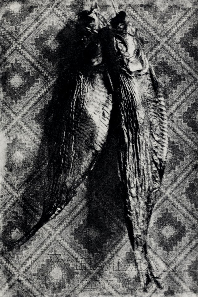 Le Secq, Henri - »Stilleben mit Fischen« (Zeno Fotografie)