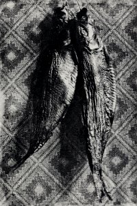 Le Secq, Henri - »Stilleben mit Fischen« (Zeno Fotografie)
