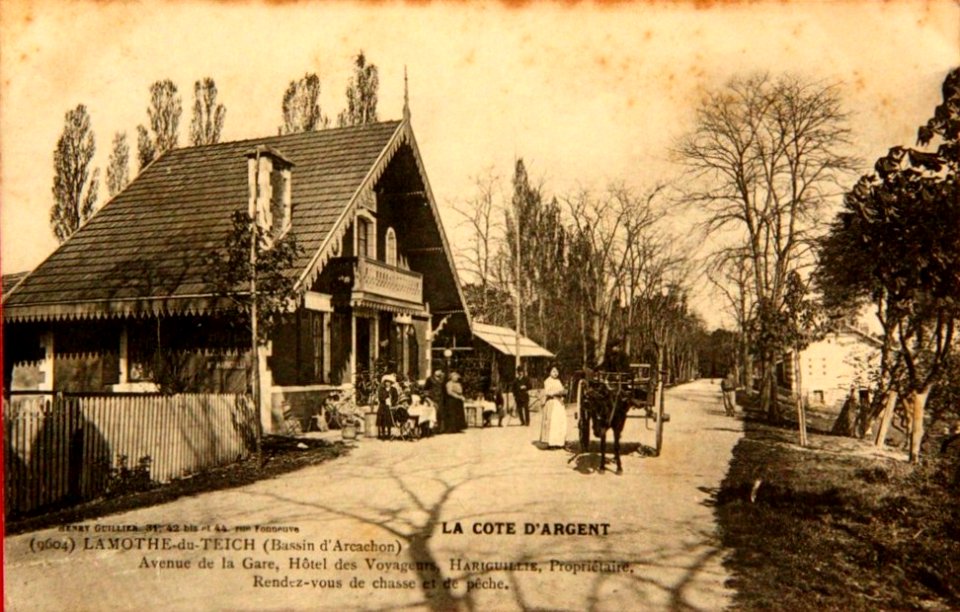 Le Teich - bourg 1