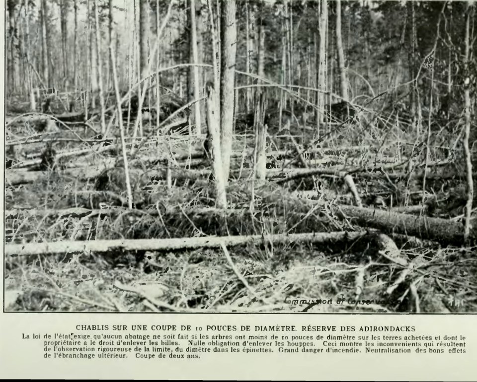 Leavitt - Protection des forêts au Canada, 1912 (page 135 crop)